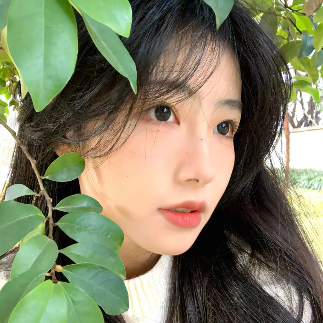 给莫妮卡的华尔滋